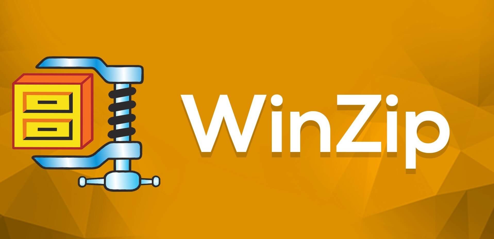 WinZip Pro 25.0.14273 Crack Activation Code [2021]